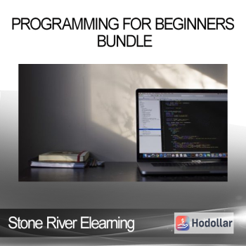 Stone River Elearning - Programming for Beginners Bundle