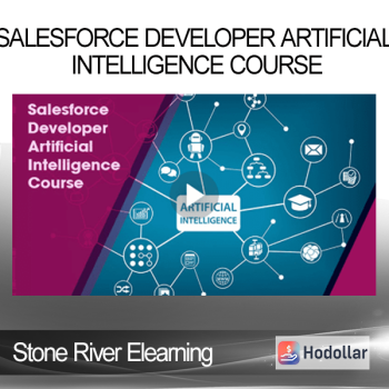 Stone River Elearning - Salesforce Developer Artificial Intelligence Course