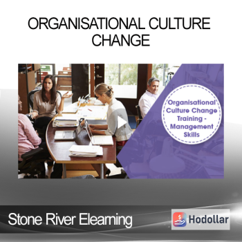 Stone River Elearning - Organisational Culture Change