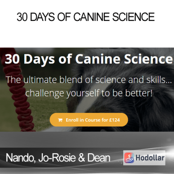 Nando, Jo-Rosie & Dean - 30 Days of Canine Science