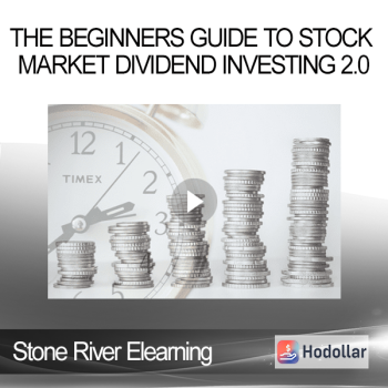 Stone River Elearning - The Beginners Guide to Stock Market Dividend Investing 2.0
