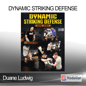 Duane Ludwig - Dynamic Striking Defense