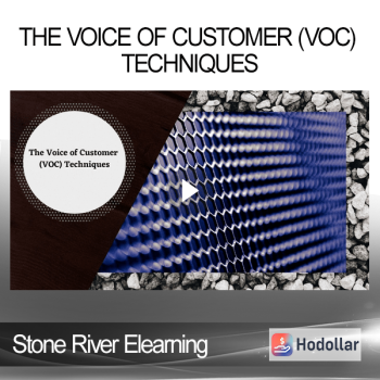 Stone River Elearning - The Voice of Customer (VOC) Techniques