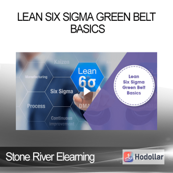 Stone River Elearning - Lean Six Sigma Green Belt Basics