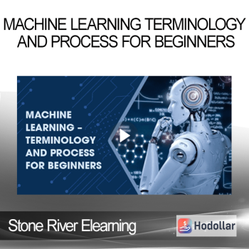 Stone River Elearning - Machine Learning Terminology and process for beginners