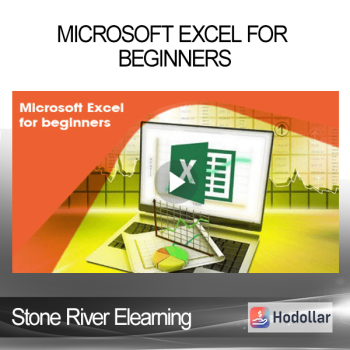 Stone River Elearning - Microsoft Excel for Beginners