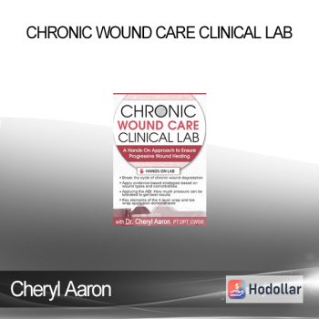 Cheryl Aaron - Chronic Wound Care Clinical Lab: A Hands-On Approach to Ensure Progressive Wound Healing