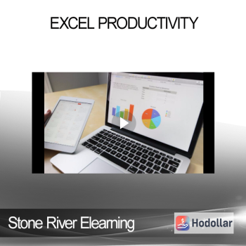Stone River Elearning - Excel Productivity
