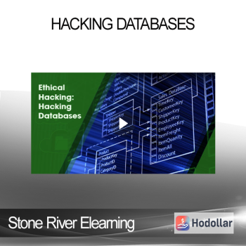 Stone River Elearning - Hacking Databases