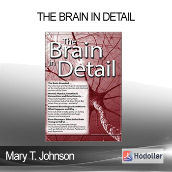 Mary T. Johnson - The Brain in Detail