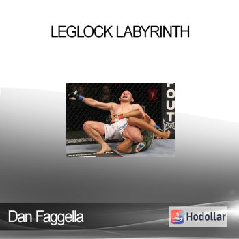 Dan Faggella - Leglock Labyrinth