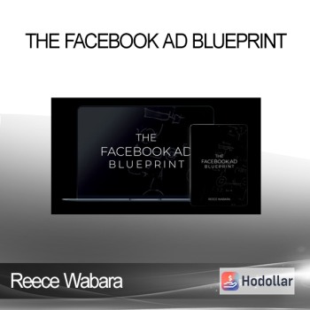 Reece Wabara - The Facebook Ad BluePrint