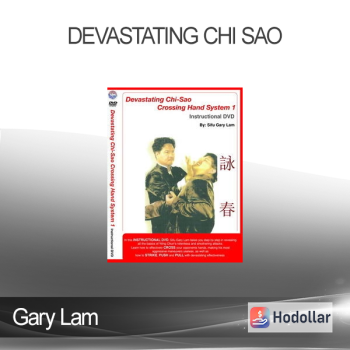 Gary Lam - Devastating Chi Sao