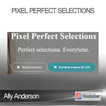 Ally Anderson - Pixel Perfect Selections