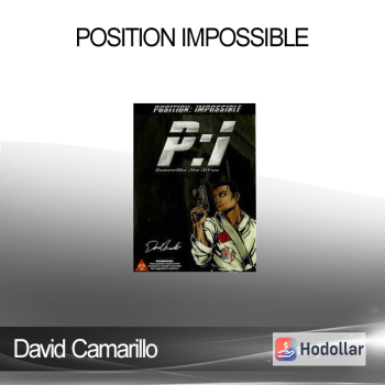 David Camarillo - Position Impossible