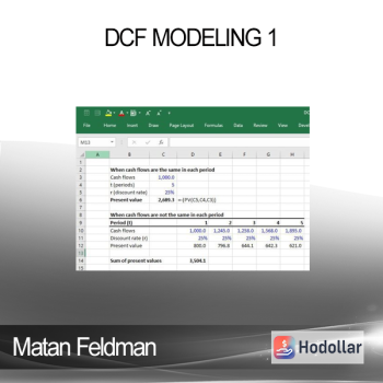 Matan Feldman - DCF Modeling 1