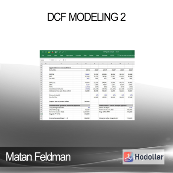 Matan Feldman - DCF Modeling 2