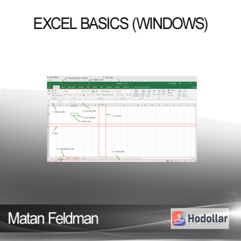 Matan Feldman - Excel Basics (Windows)