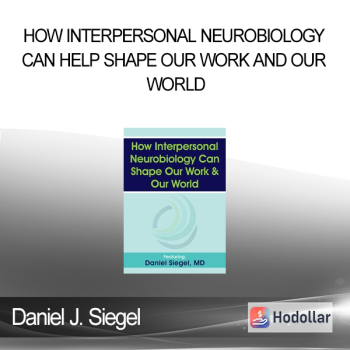 Daniel J. Siegel - How Interpersonal Neurobiology Can Help Shape our Work and our World