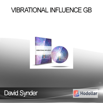 David Synder - Vibrational Influence GB