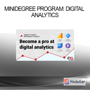 Minidegree program: Digital Analytics
