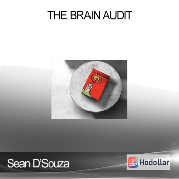 Sean D’Souza - The Brain Audit