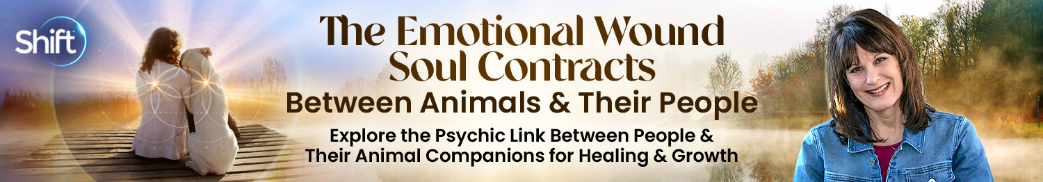 Tammy Billups - The Emotional Wound Soul Contracts Between Animals & Their People 2025